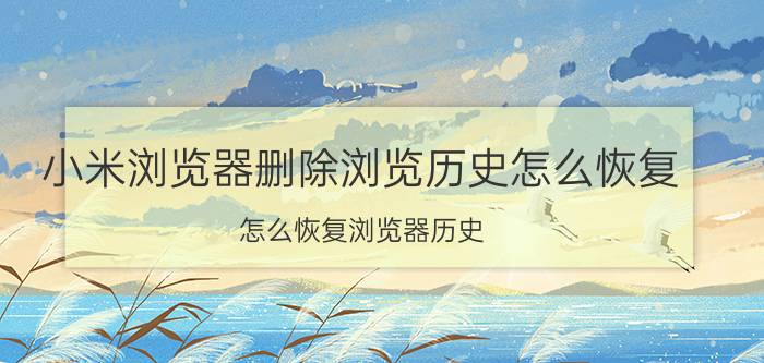 小米浏览器删除浏览历史怎么恢复 怎么恢复浏览器历史？